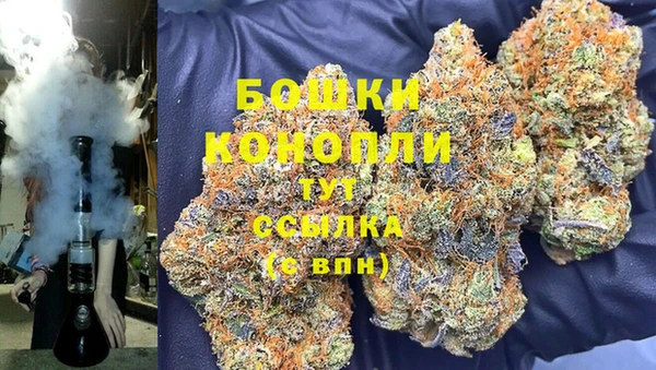ECSTASY Богородицк