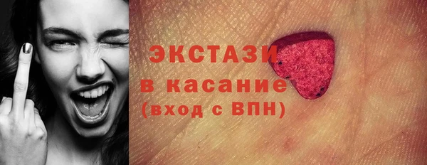 ECSTASY Богородицк