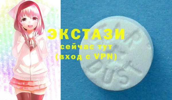 ECSTASY Богородицк